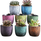 Indoor Ceramic Pots | Set Of 6